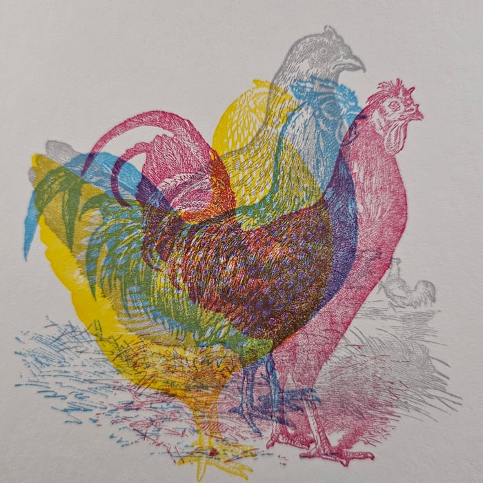 Cluck Cluck Greeting Card