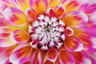 Photo Cards by Dinah Satterwhite