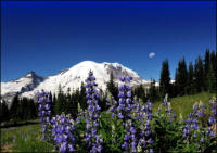 Photo Cards by Dinah Satterwhite