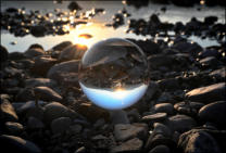 Metal Photo Prints by Dinah Satterwhite
