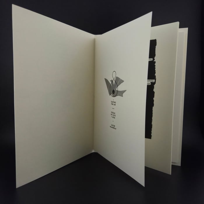 Tasting the Air: Poems of Love + Loss Blackout Poetry Zine