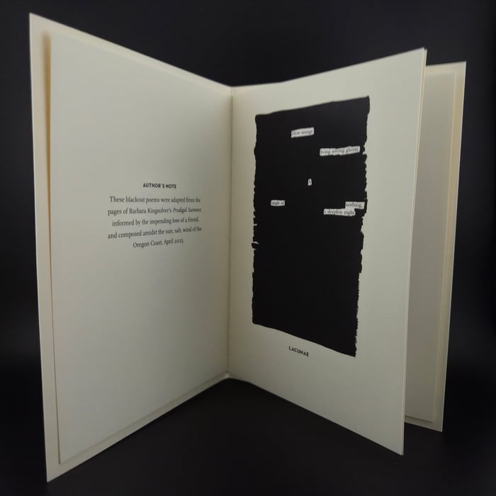 Tasting the Air: Poems of Love + Loss Blackout Poetry Zine