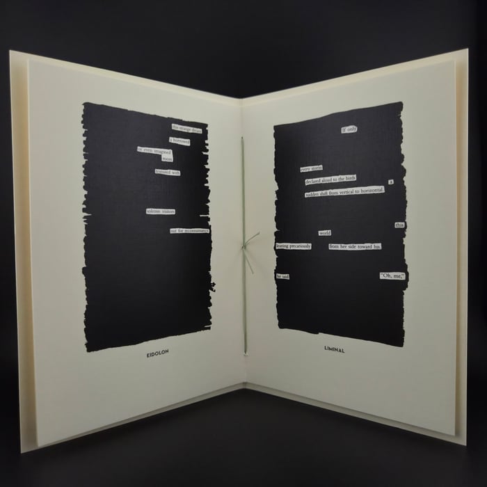 Tasting the Air: Poems of Love + Loss Blackout Poetry Zine