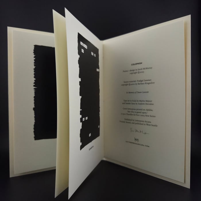 Tasting the Air: Poems of Love + Loss Blackout Poetry Zine