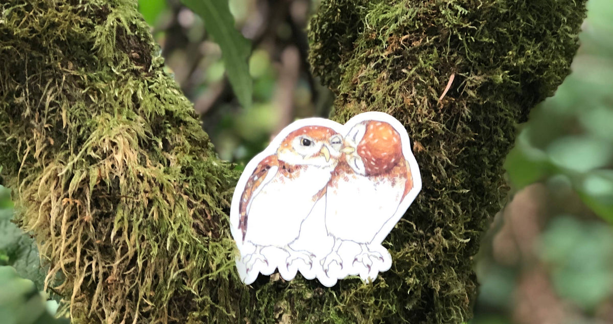 Snuggle Owl Stickers