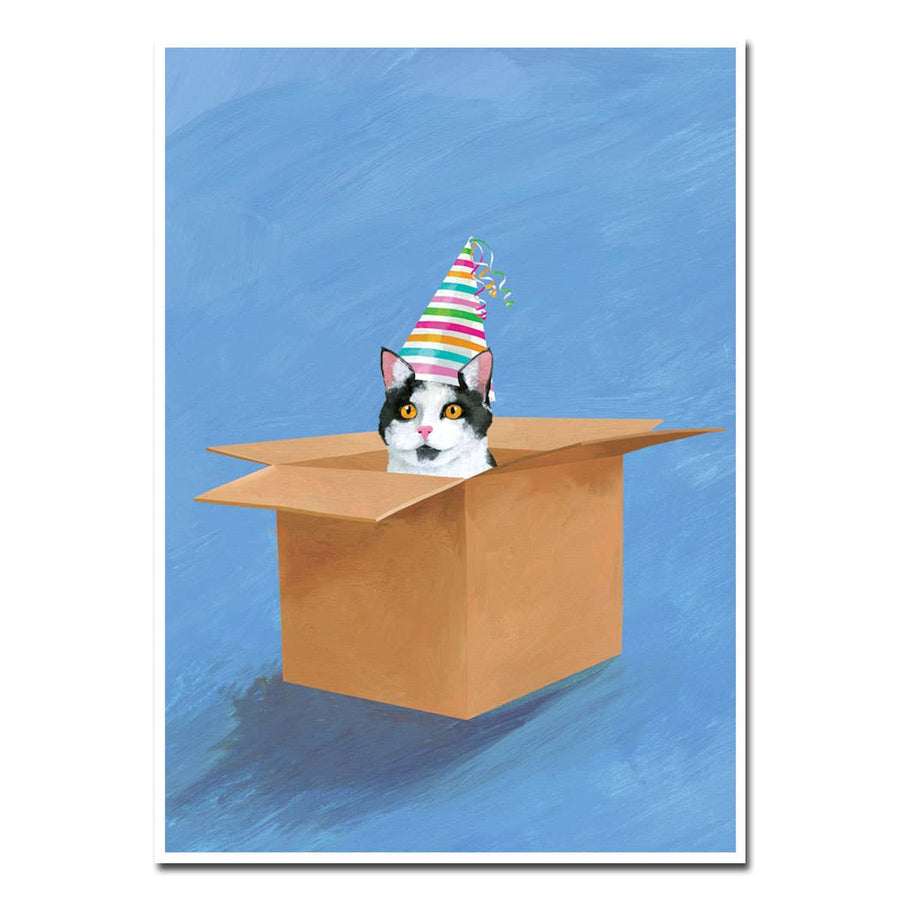 Cat in Box Birthday Card