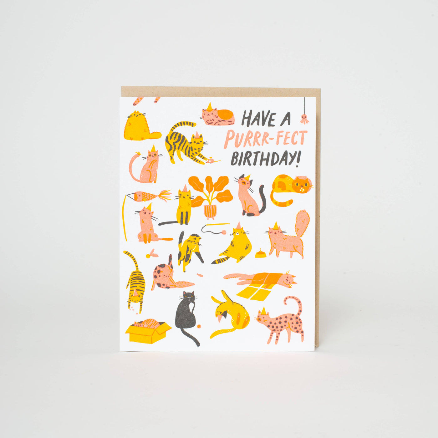 Purr-fect Birthday Card by Hello! Lucky