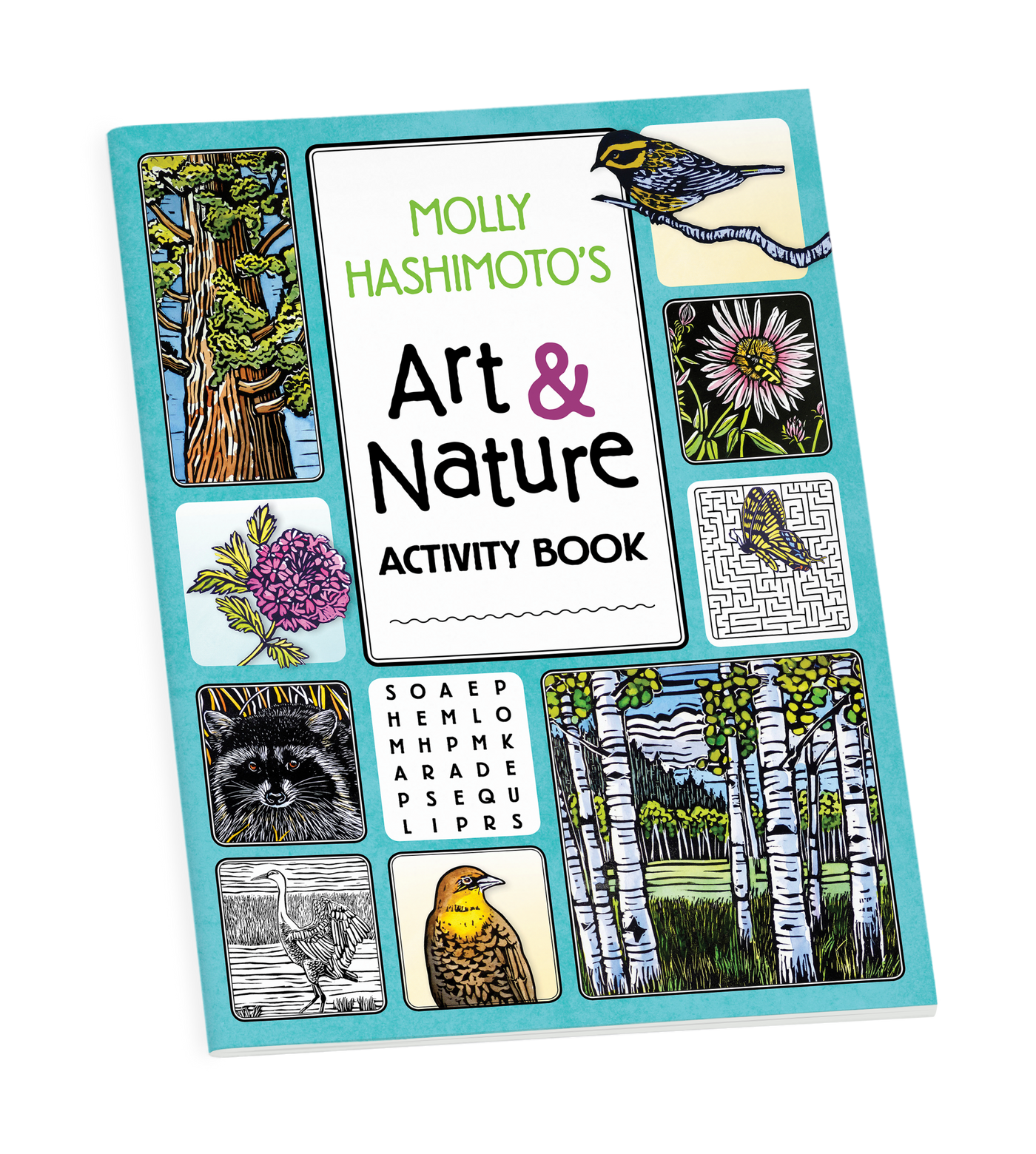 Molly Hashimoto’s Art & Nature Activity Book