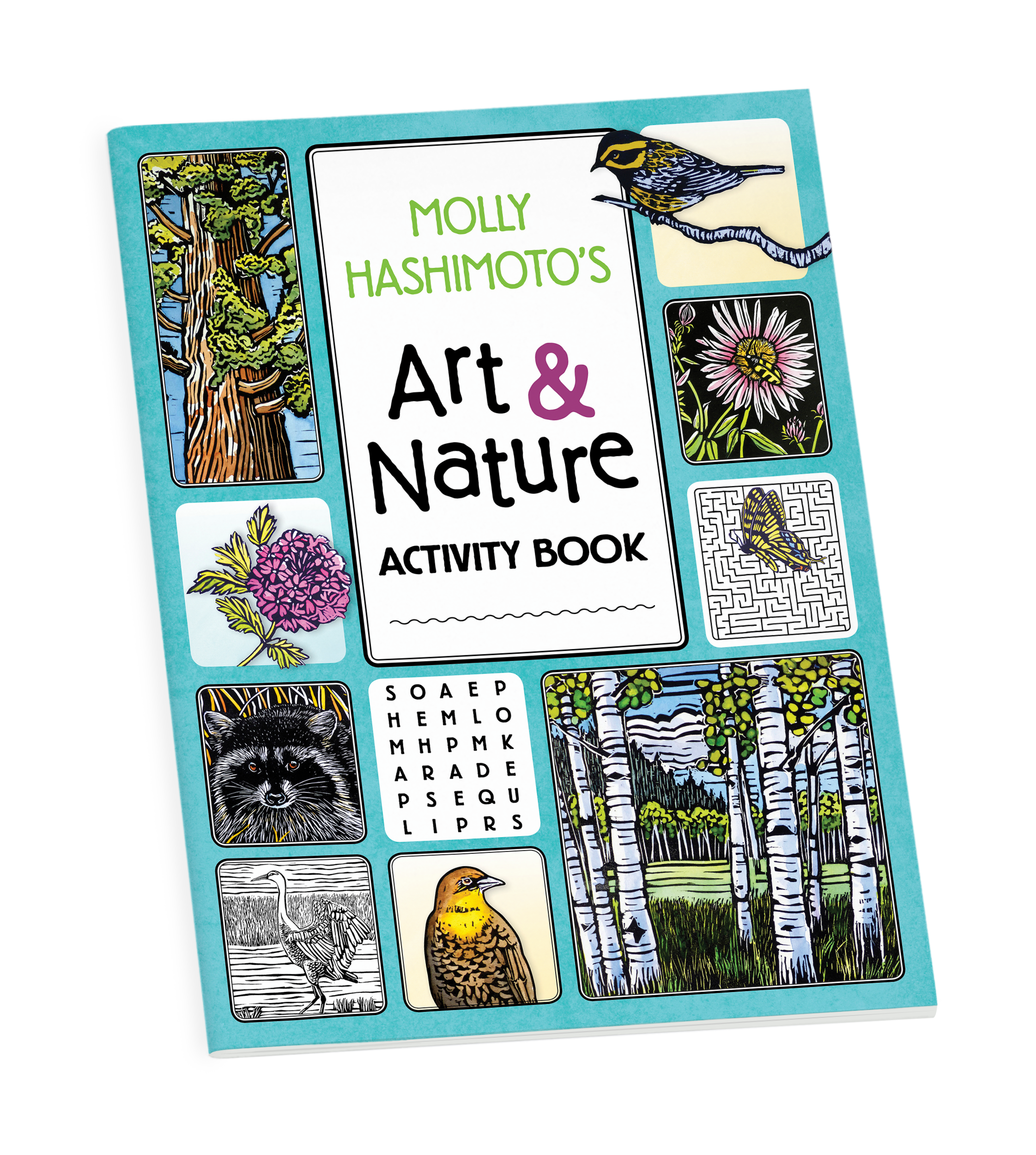 Molly Hashimoto’s Art & Nature Activity Book
