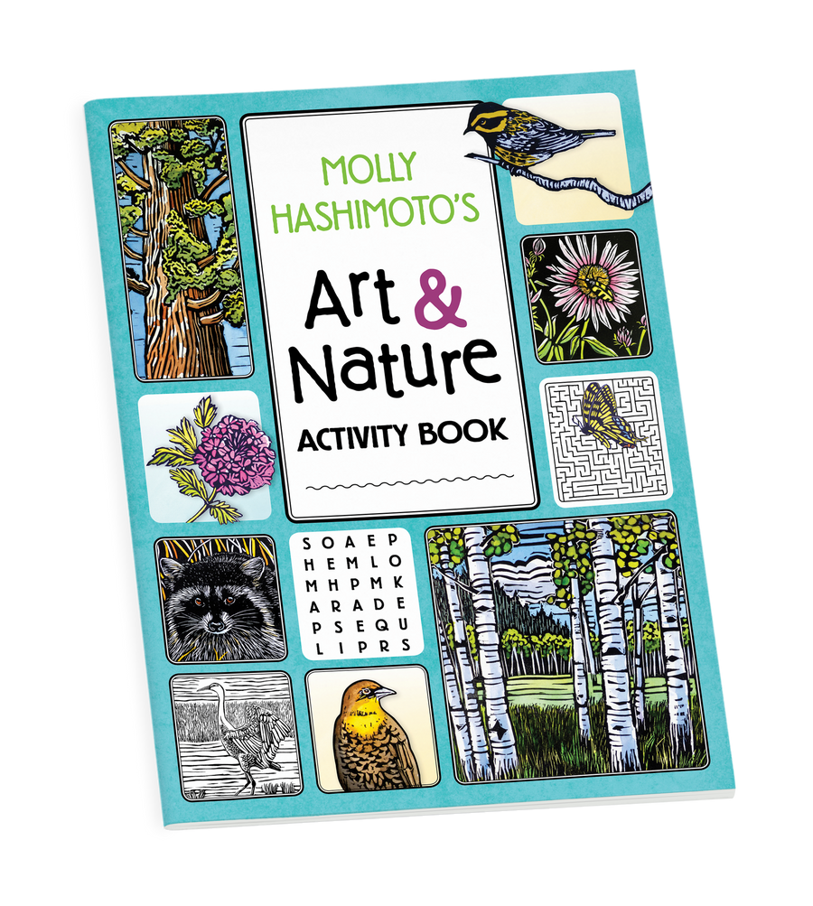 Molly Hashimoto’s Art & Nature Activity Book