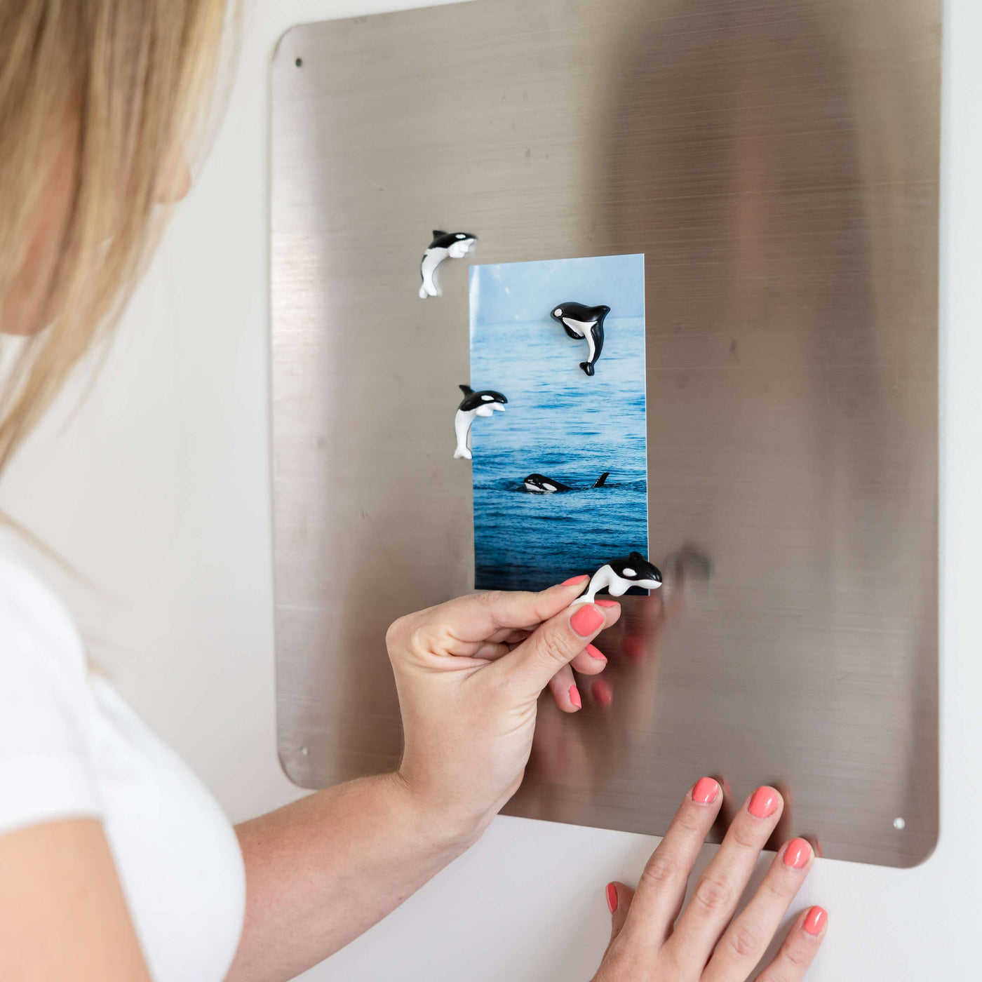 Orca Magnets