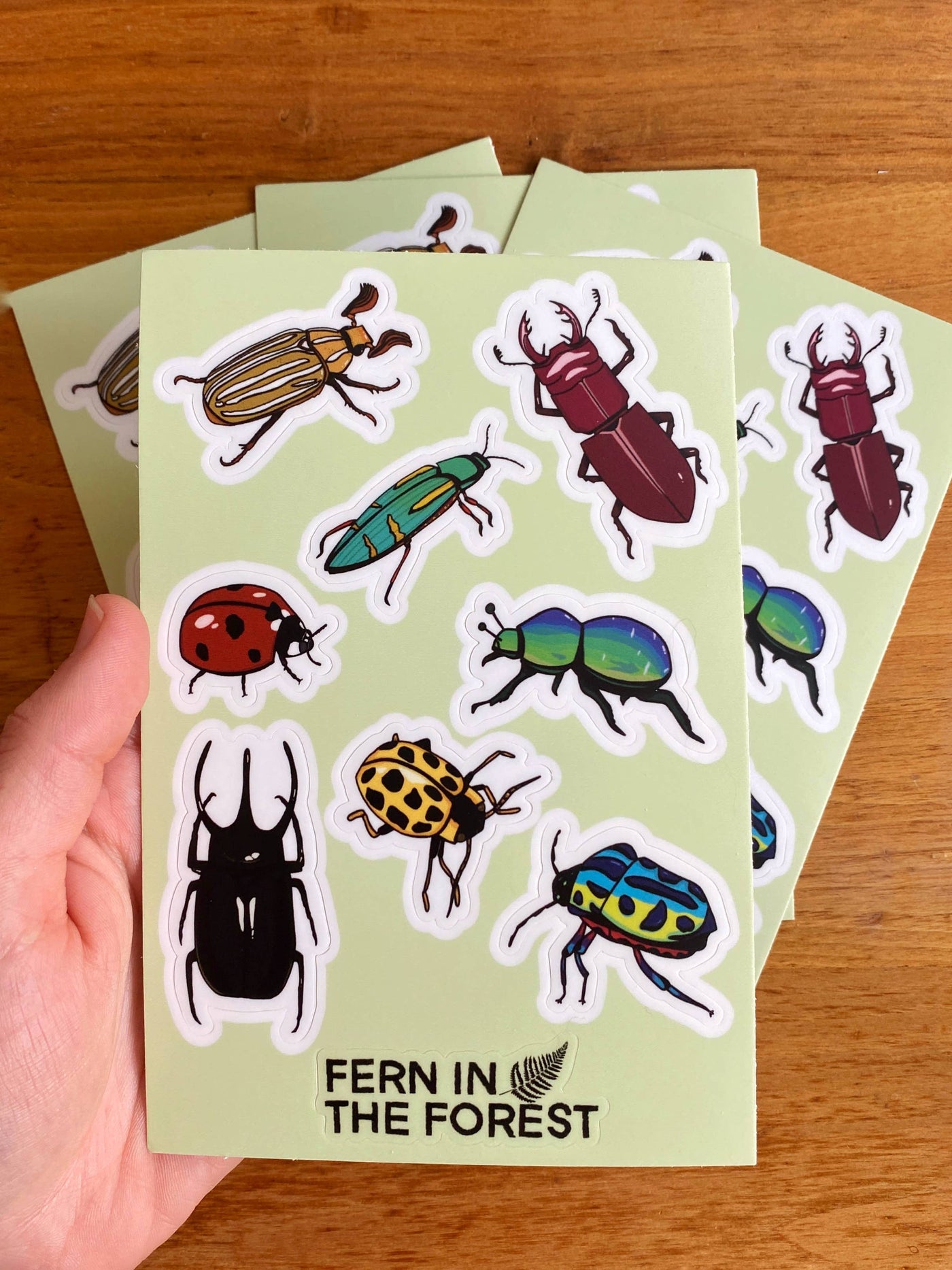 Beetle 4"x6" Sticker Sheet