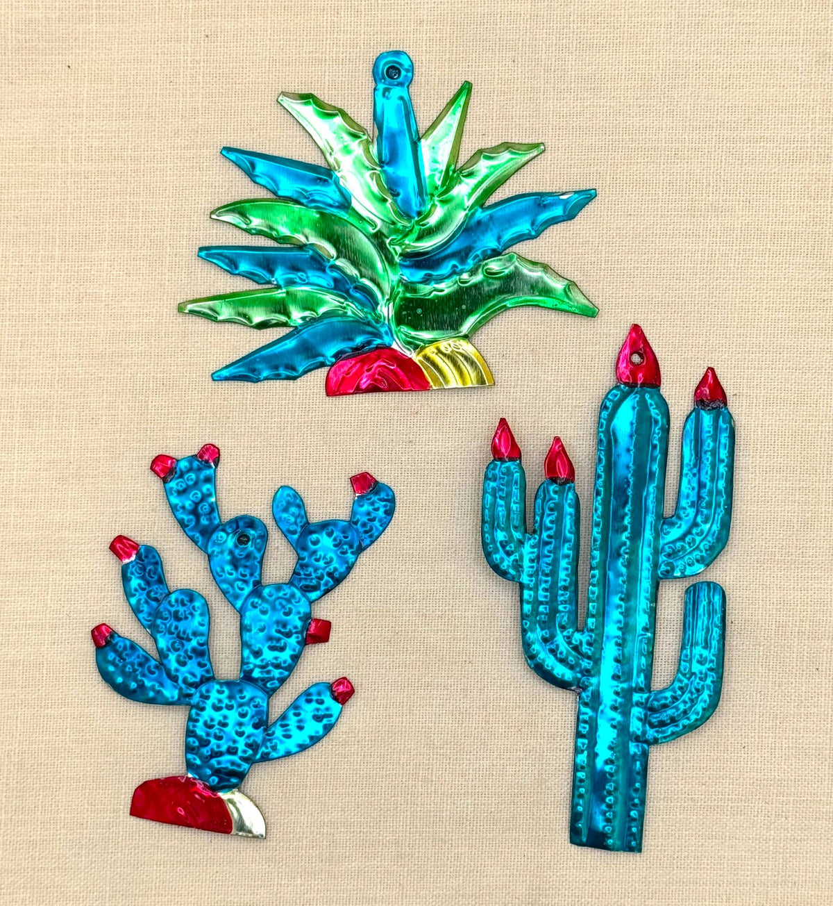 Assorted Cactus Succulent Ornament