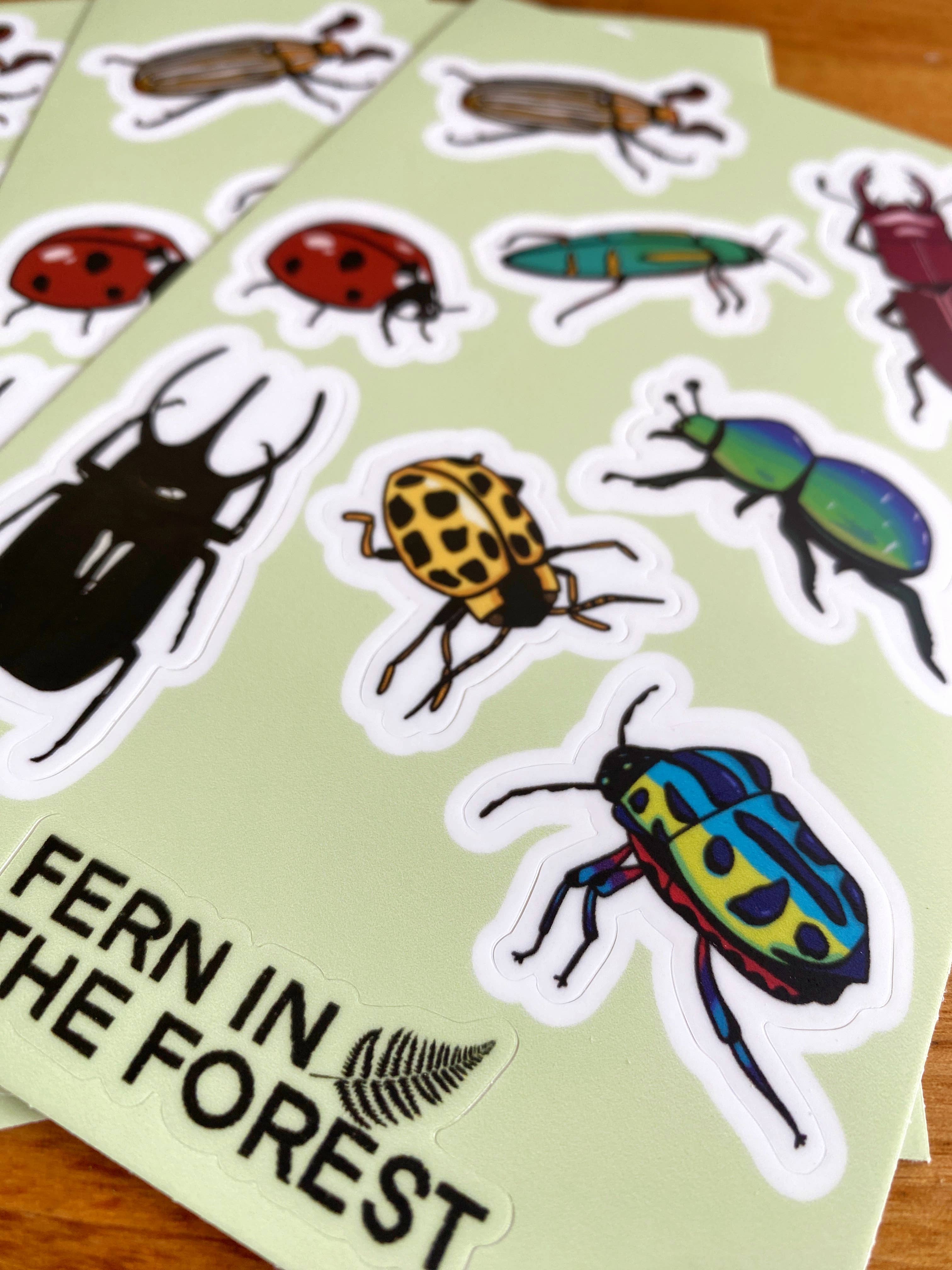 Beetle 4"x6" Sticker Sheet