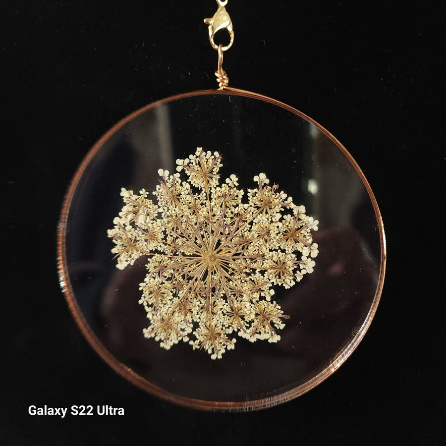 Hanging Pressed Flowers by Heidi Jack