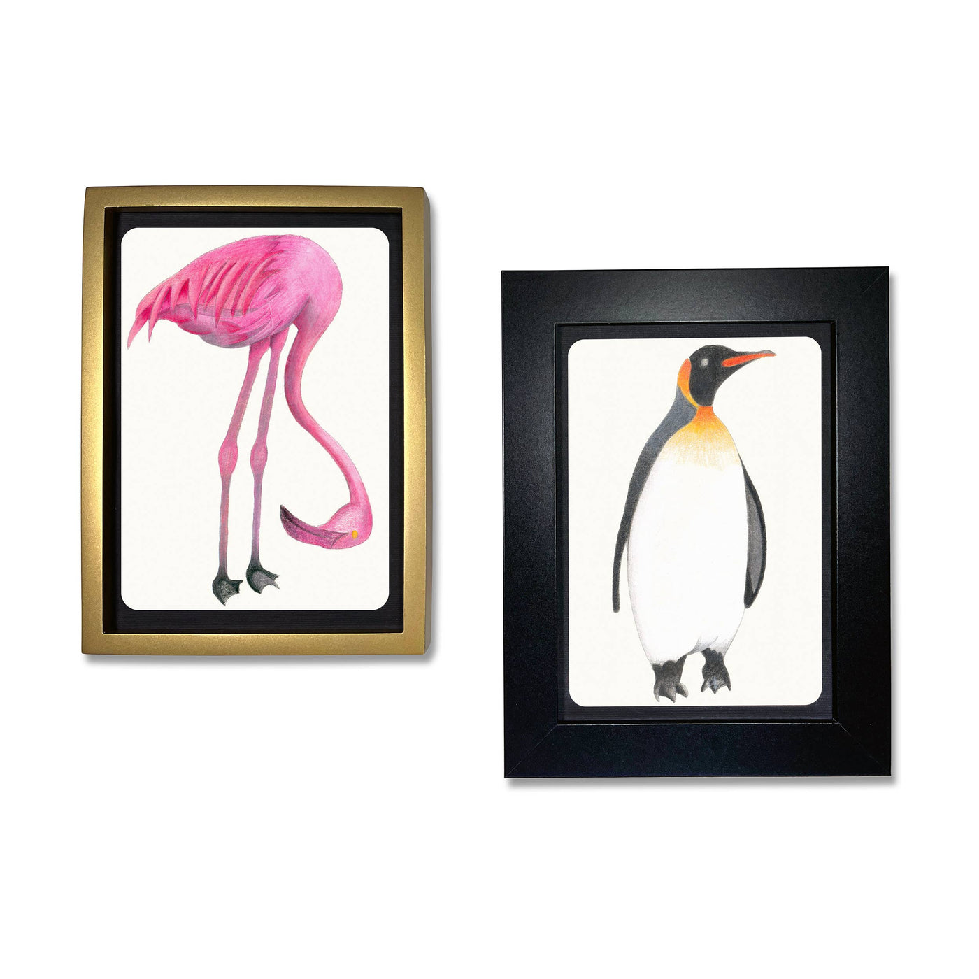 Coloring Postcards w/ 6 Bird Designs (30cards) Stationary