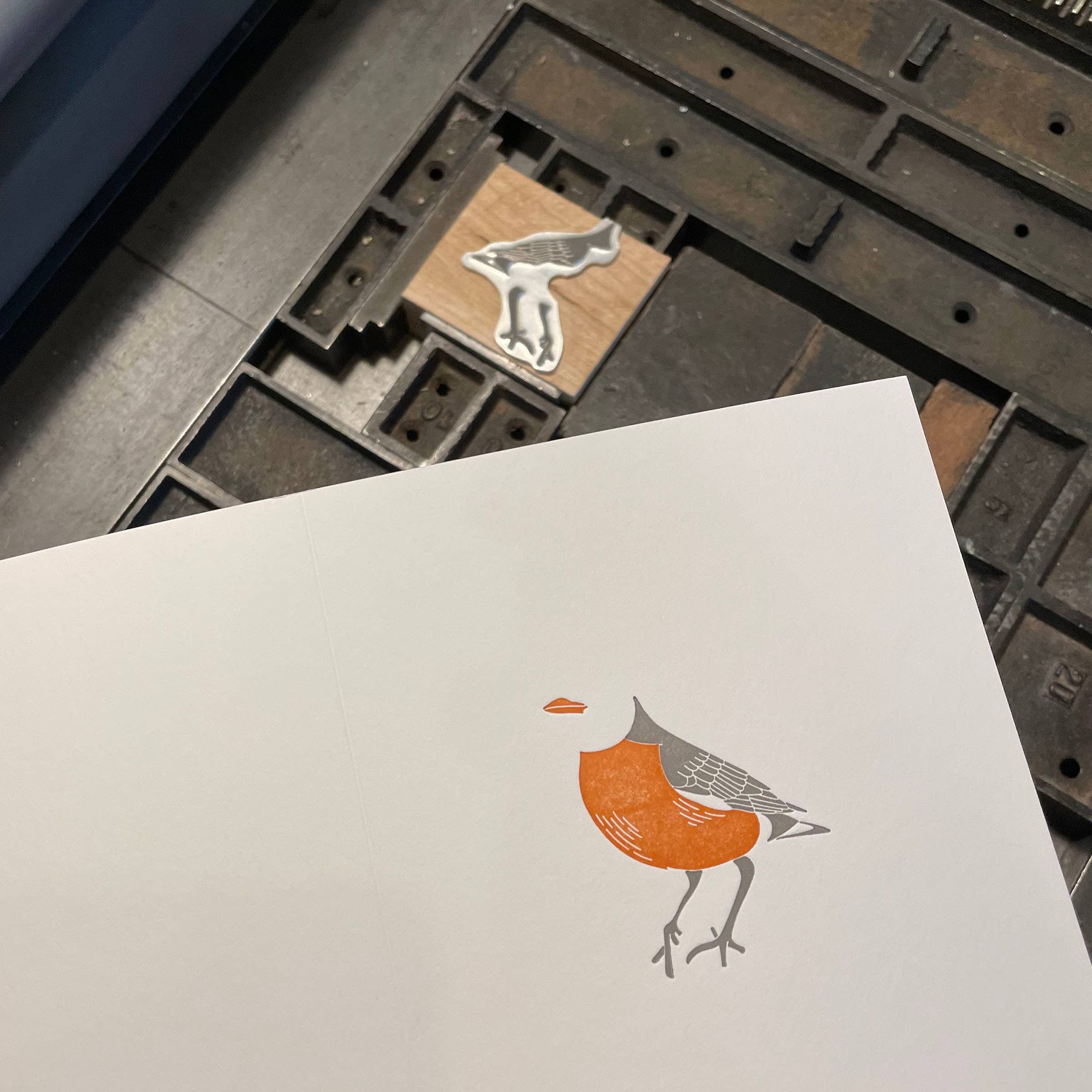 American Robin Letterpress Card