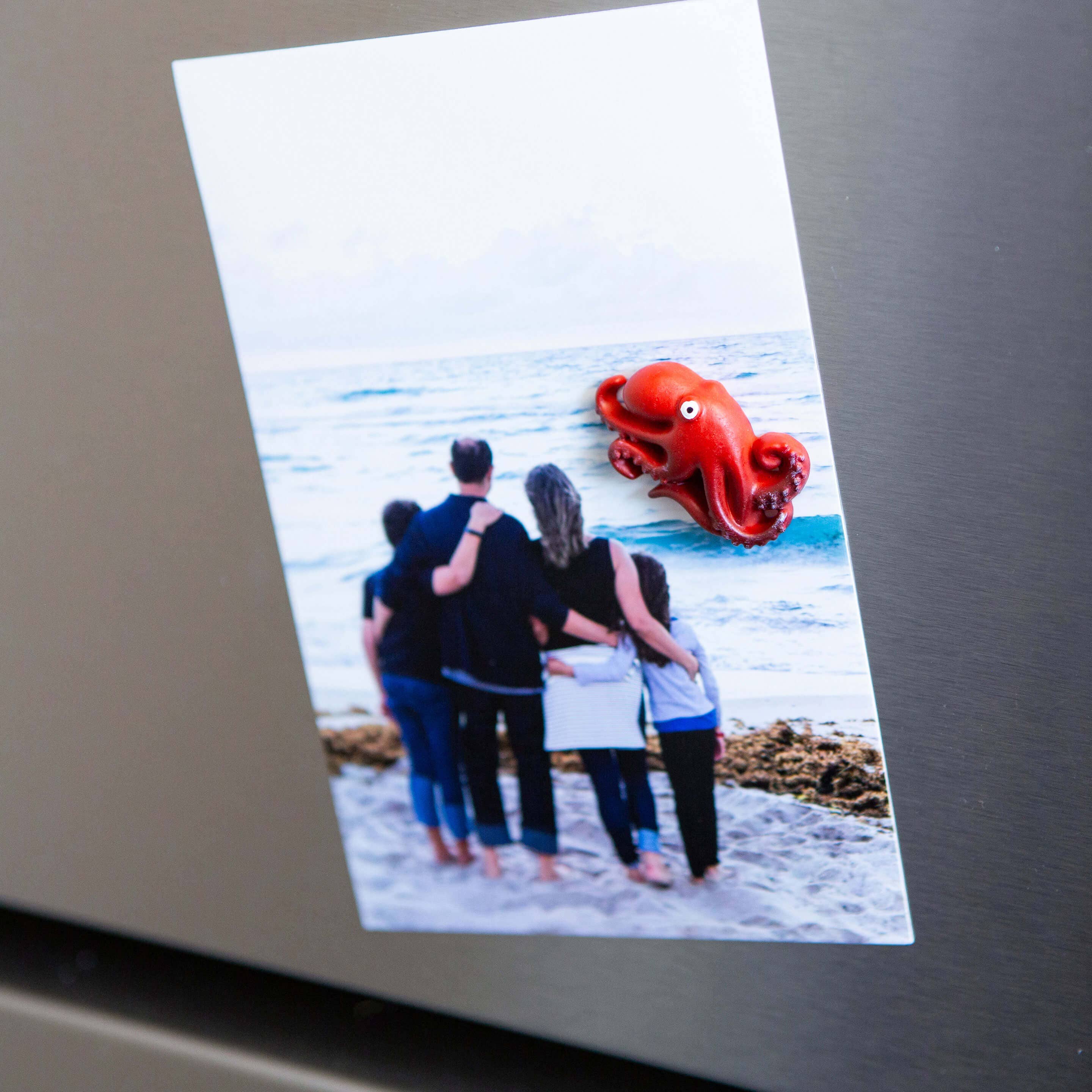 Colorful Octopus Magnets