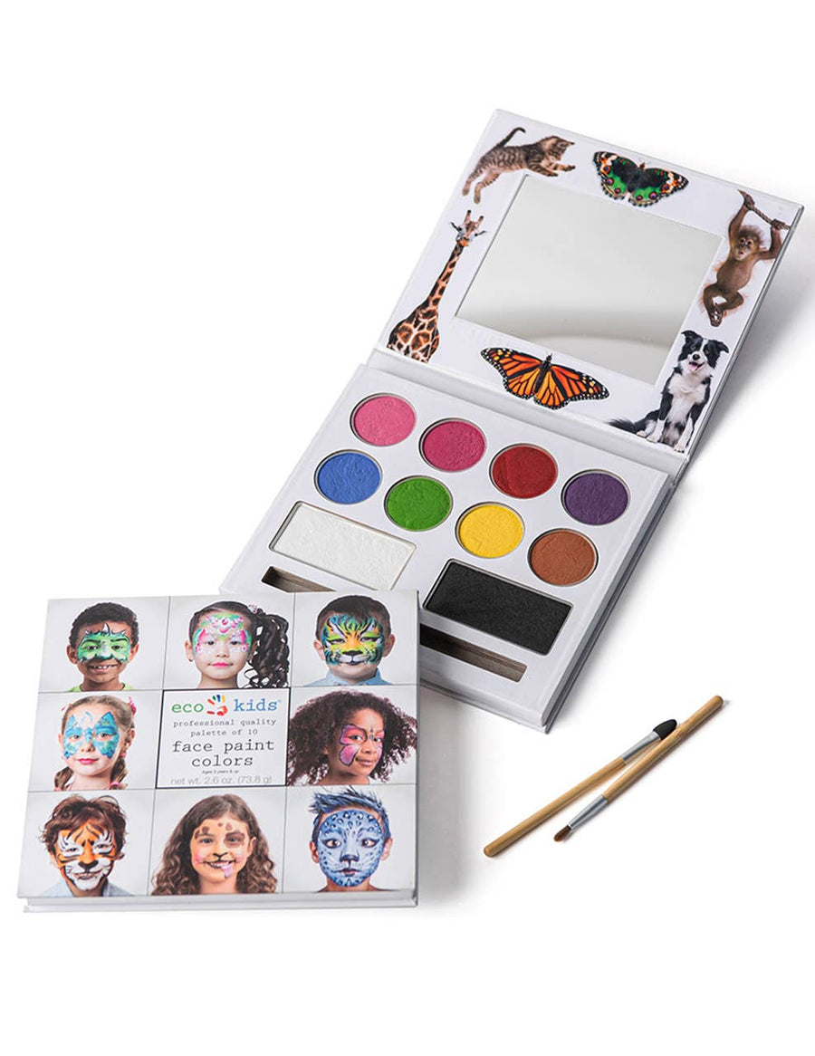 Face Paint Kit