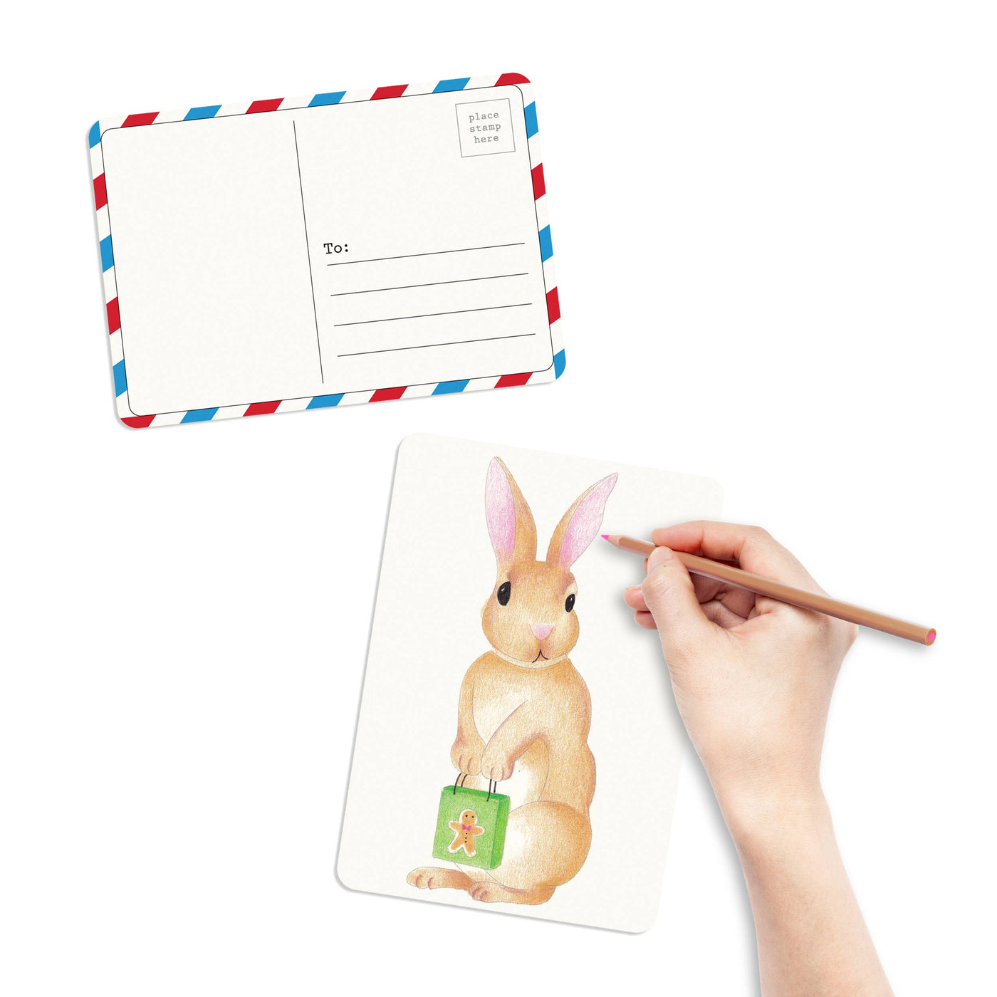 Coloring Postcards w/ 6 Winter Animal Designs