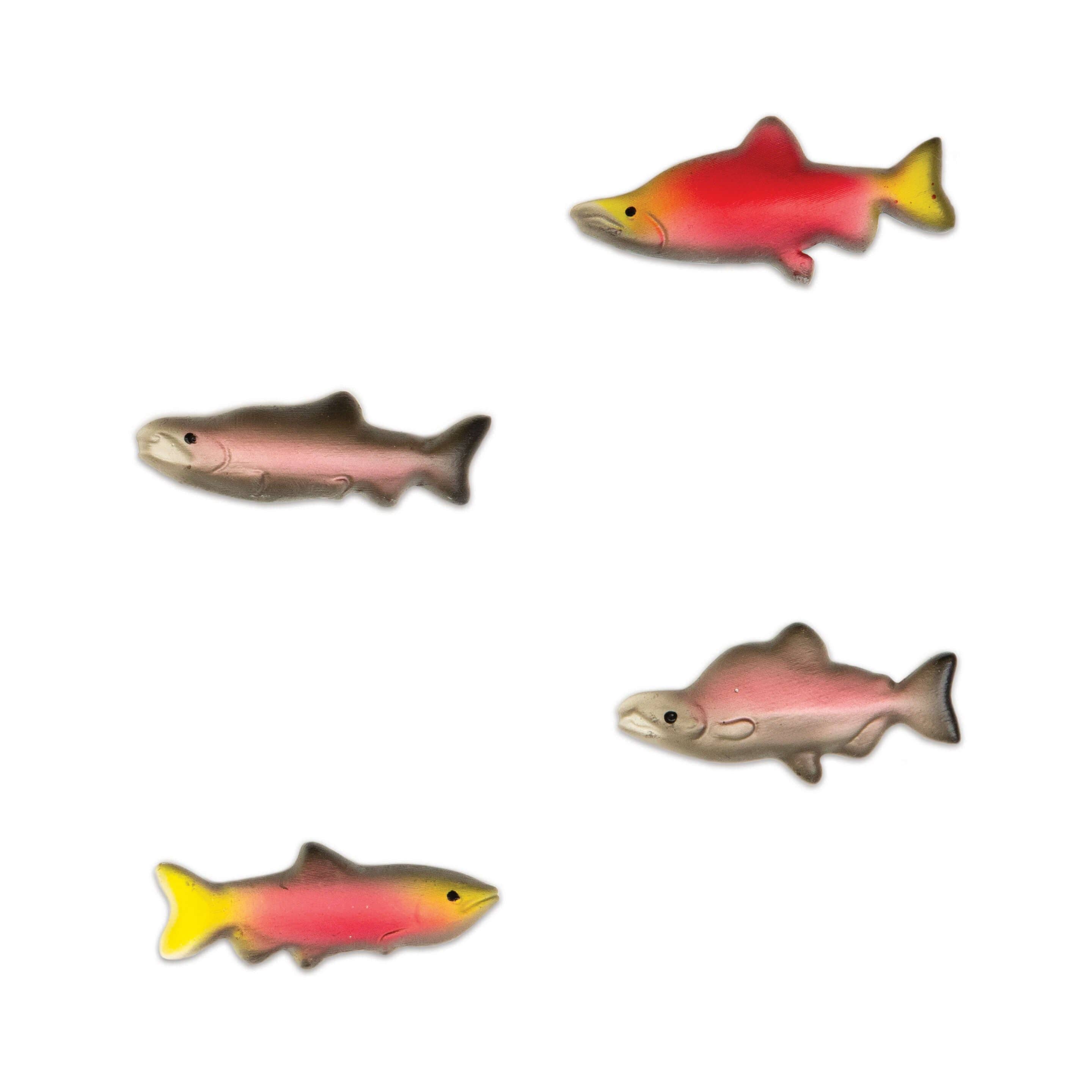 Salmon Magnets