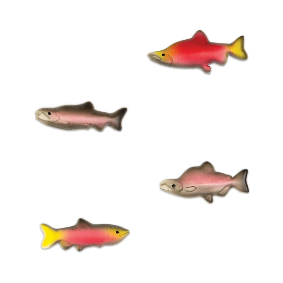 Salmon Magnets