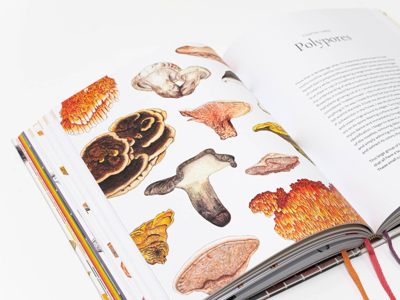 Mushroom Color Atlas