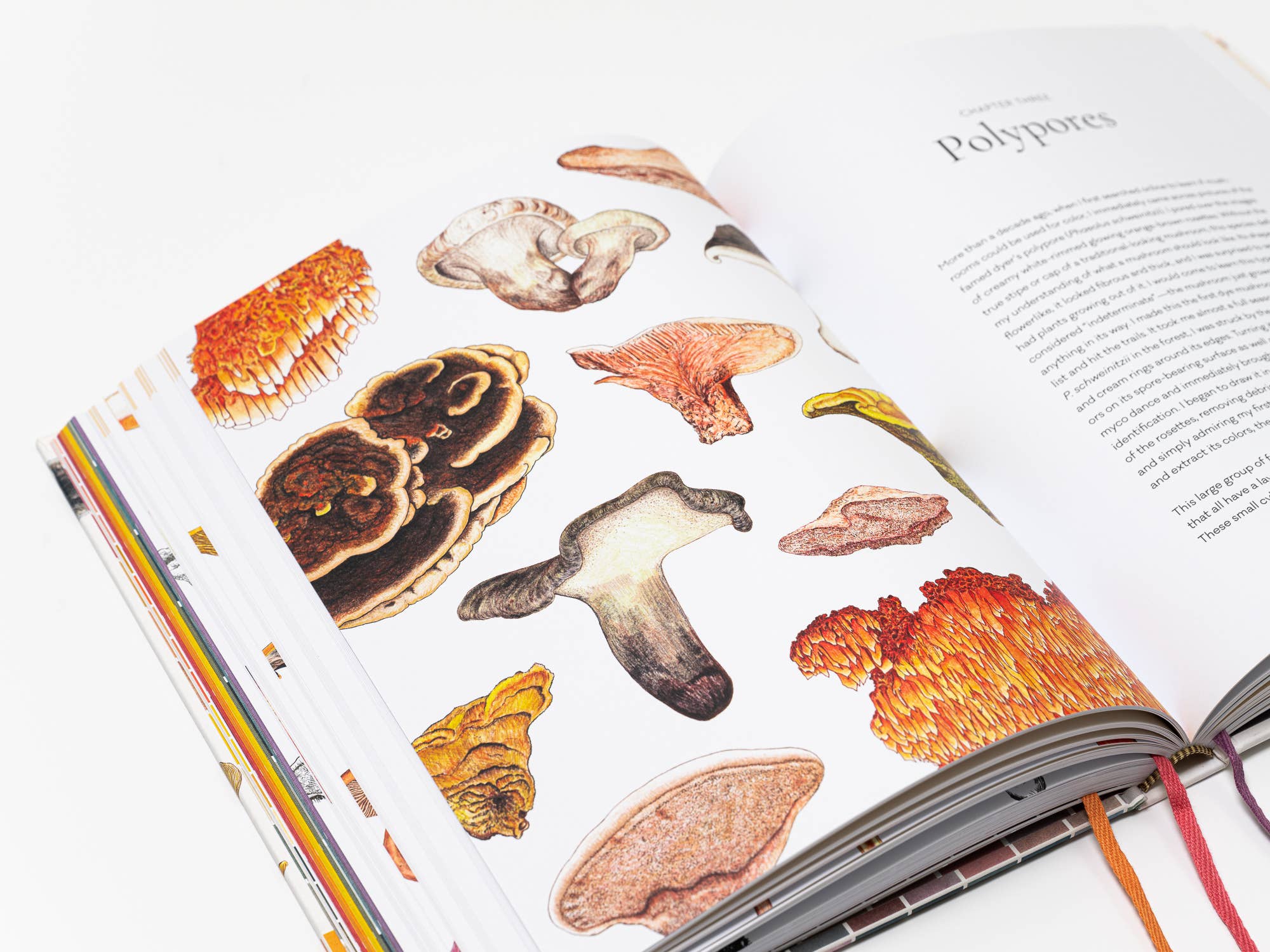 Mushroom Color Atlas