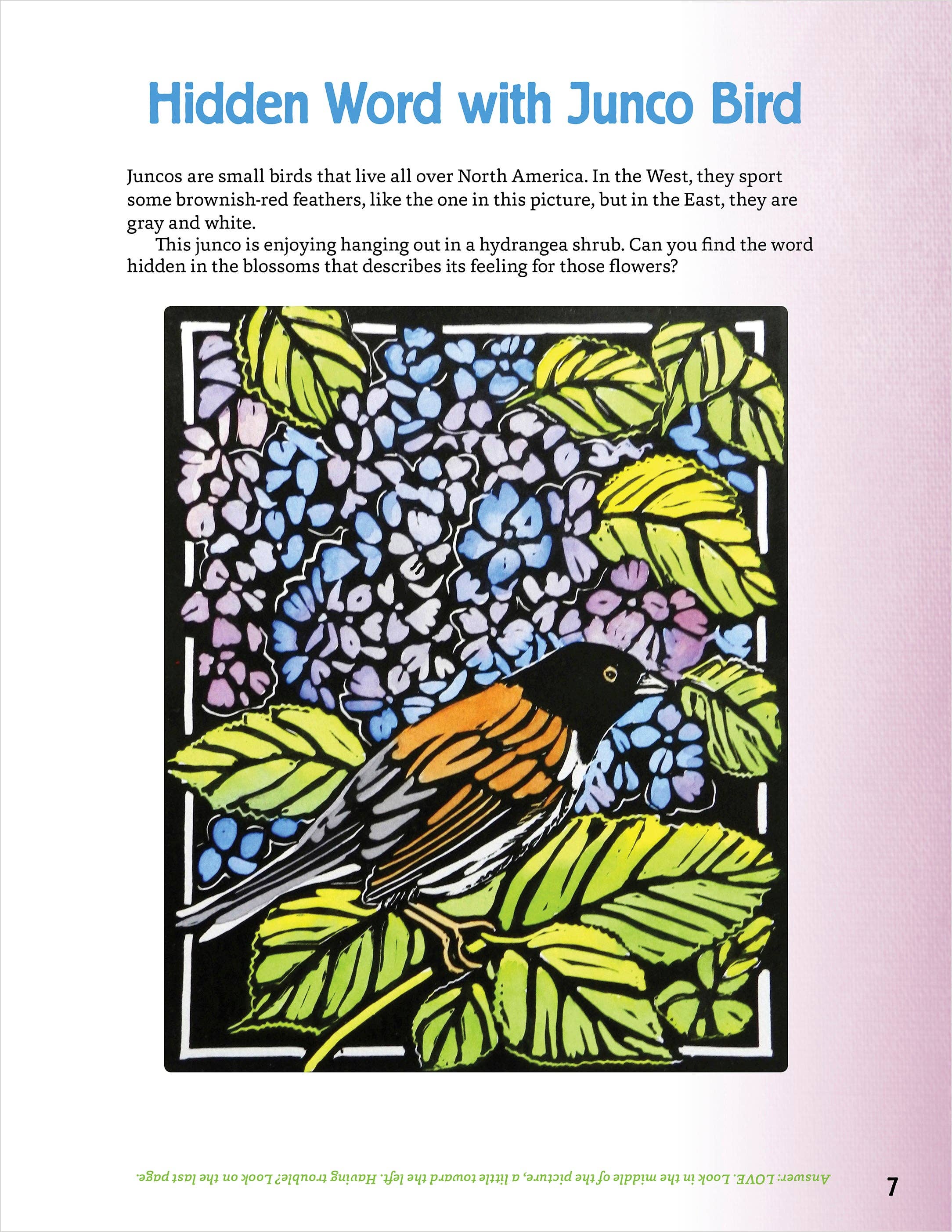Molly Hashimoto’s Art & Nature Activity Book