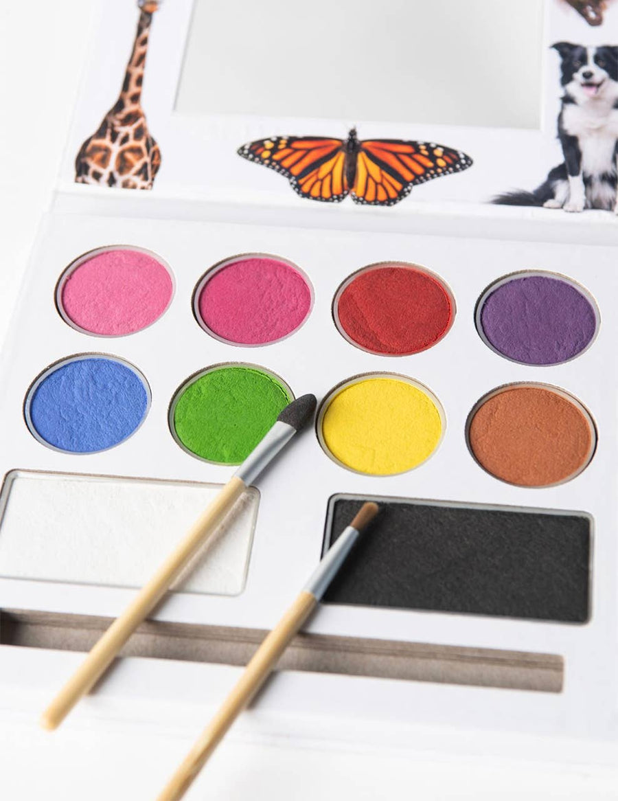 Face Paint Kit