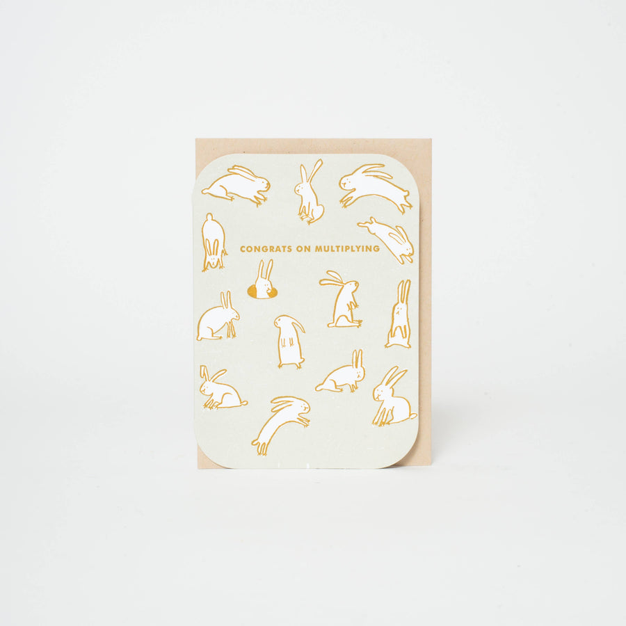 Multiplying Baby Rabbits Greeting Card by Egg Press