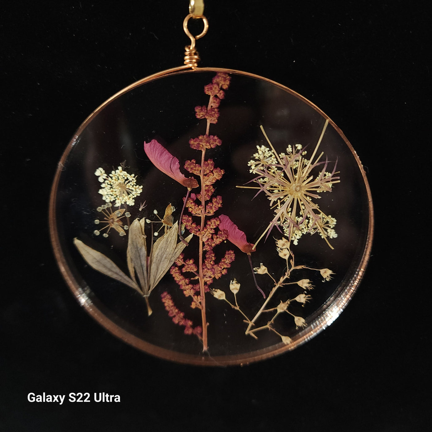 Hanging Pressed Flowers by Heidi Jack