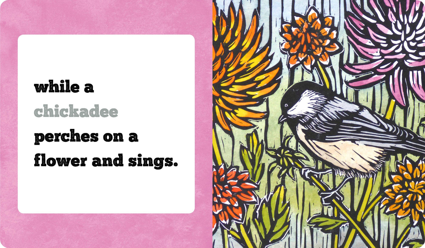 Molly Hashimoto’s Birds! Season by Season Board Book