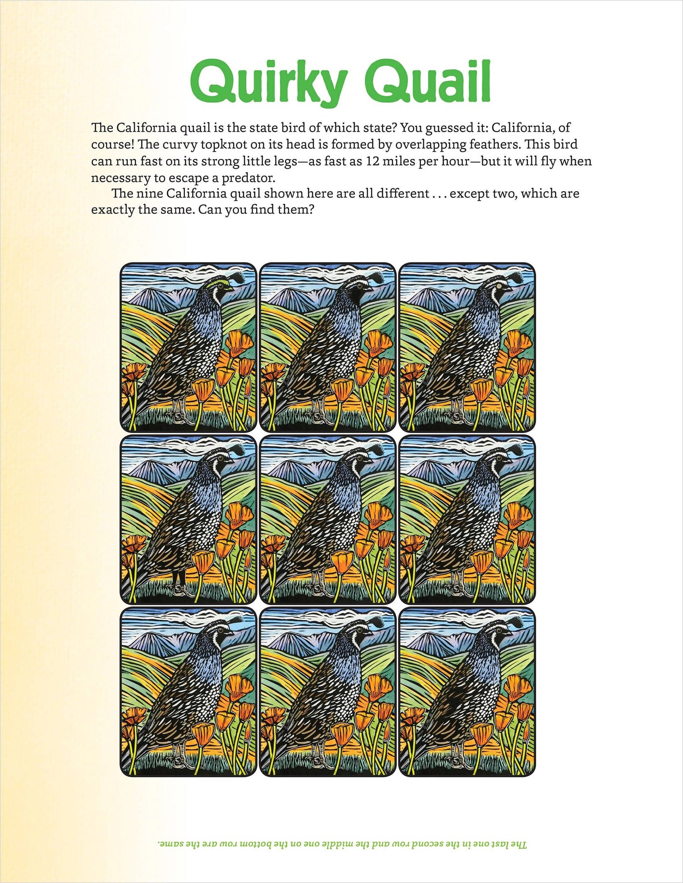 Molly Hashimoto’s Art & Nature Activity Book
