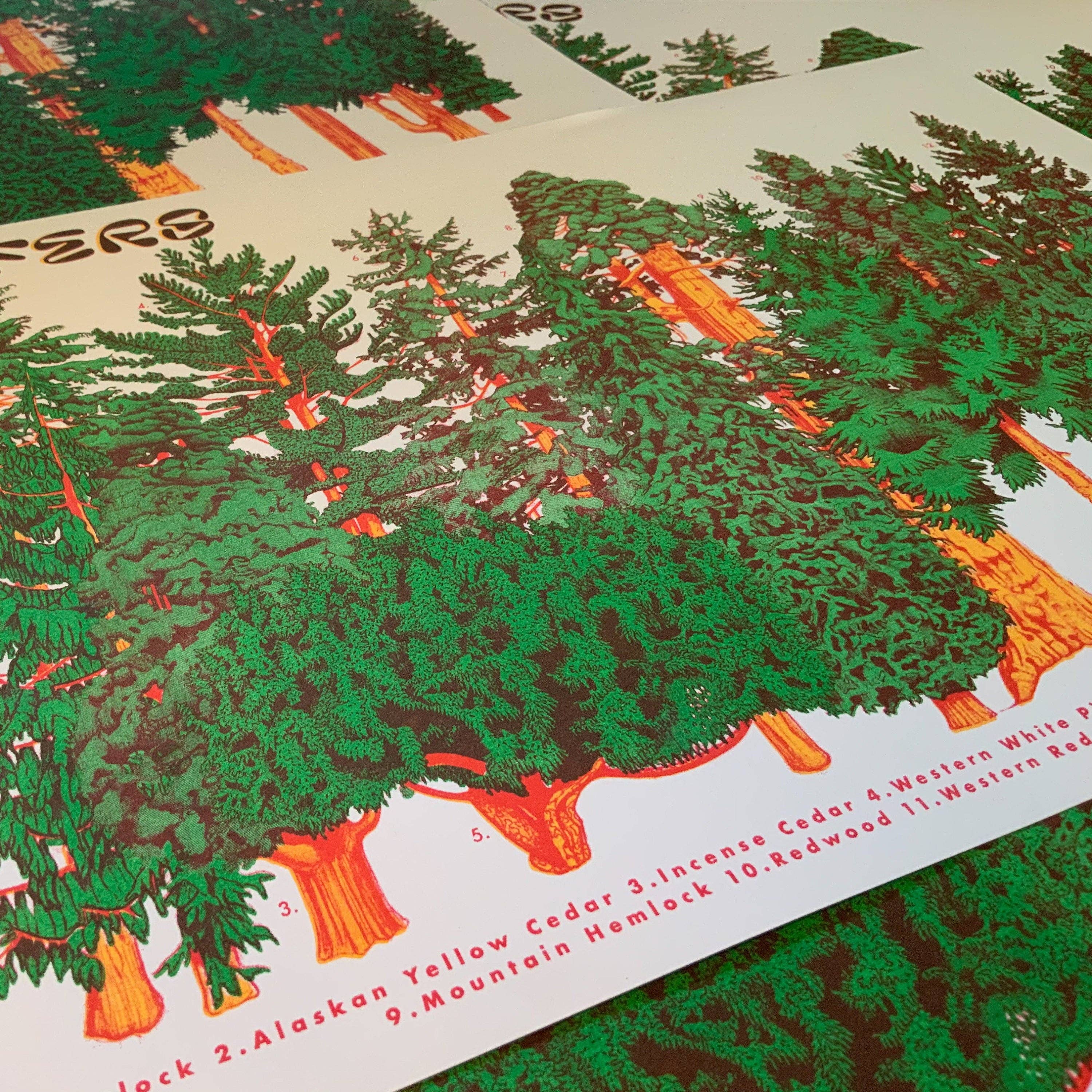 Conifer Tree Riso Poster