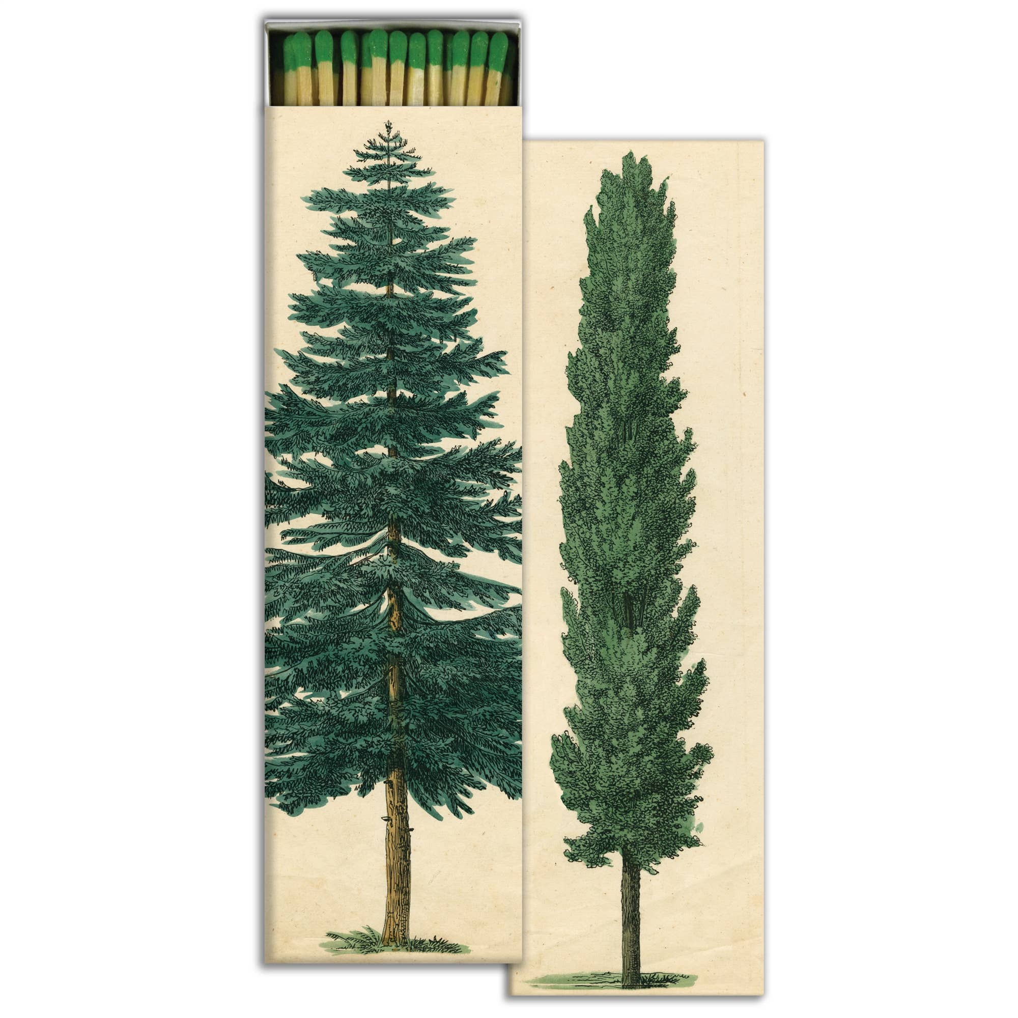 Match - Tall Trees