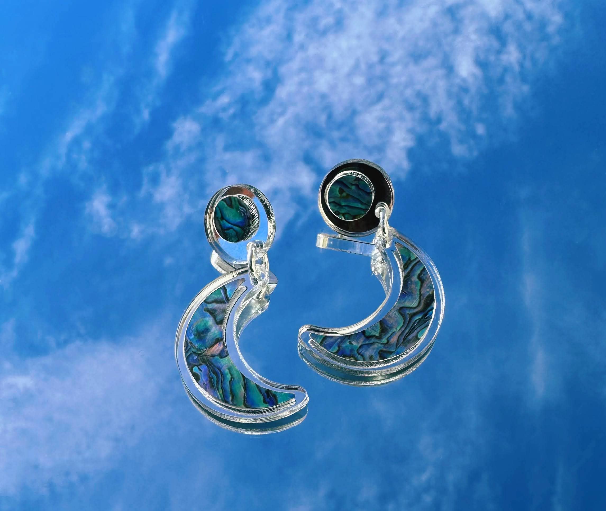 Nuci Earrings: Black / Hook-In