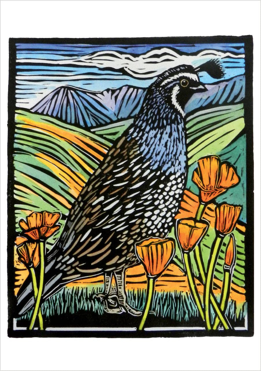 Molly Hashimoto Boxed Notecard Assortment