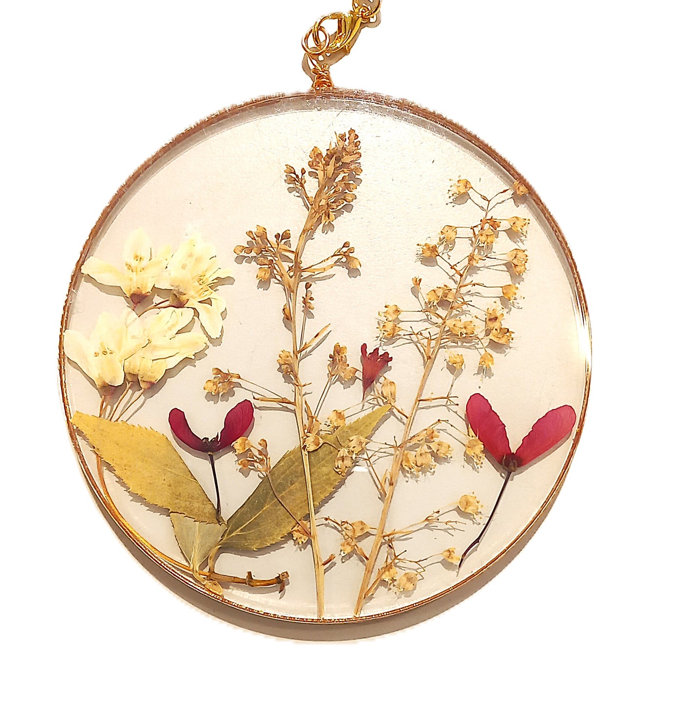 Hanging Pressed Flowers by Heidi Jack