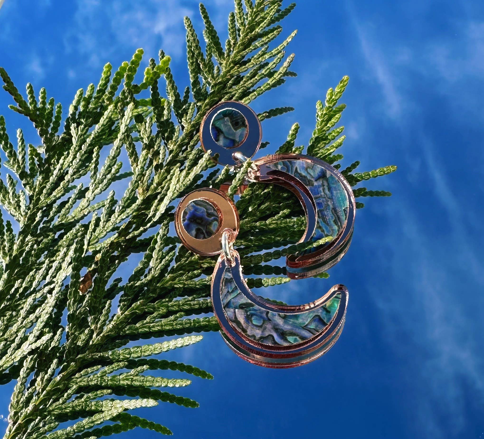 Nuci Earrings: Black / Hook-In