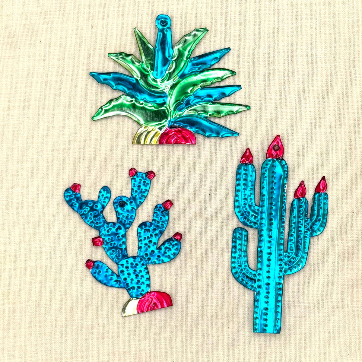 Assorted Cactus Succulent Ornament