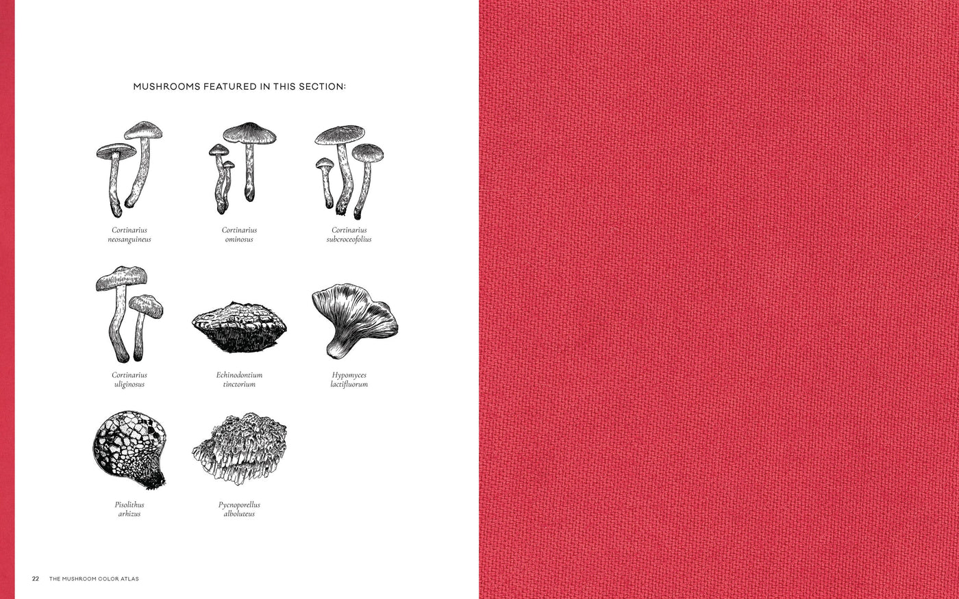 Mushroom Color Atlas