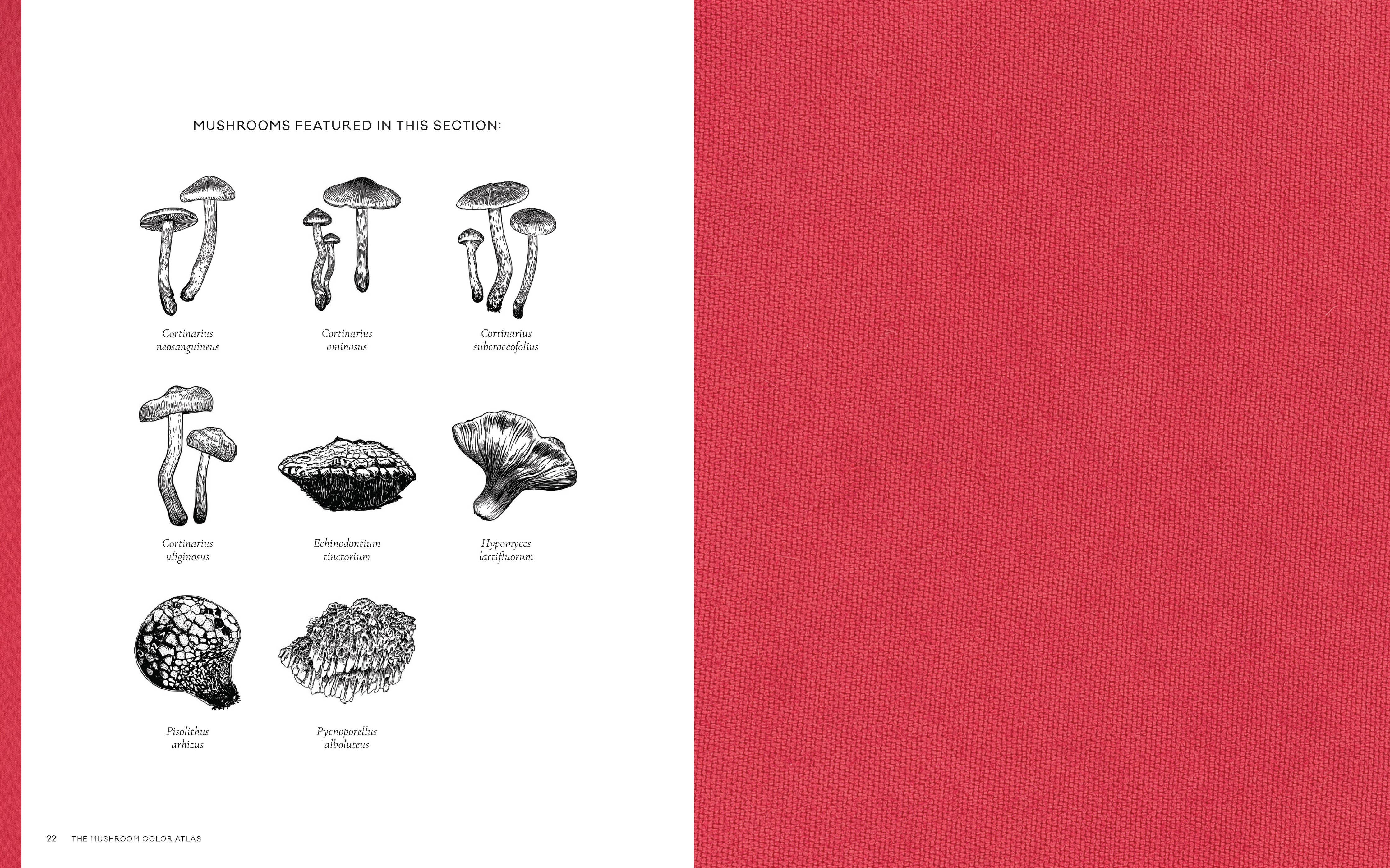 Mushroom Color Atlas