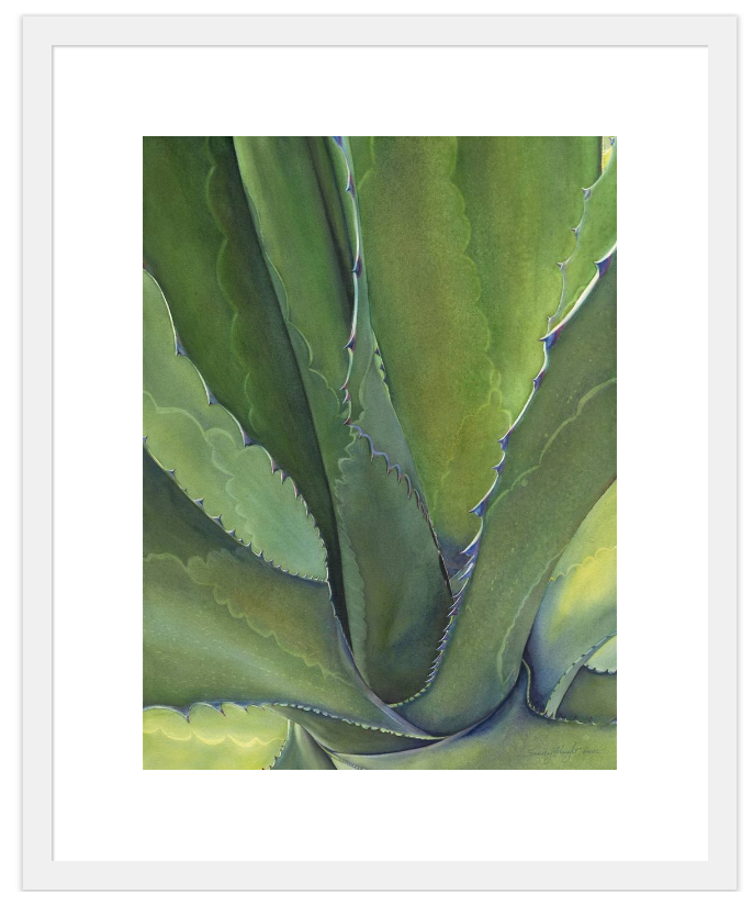 Agave Verde Print by Sandy Haight