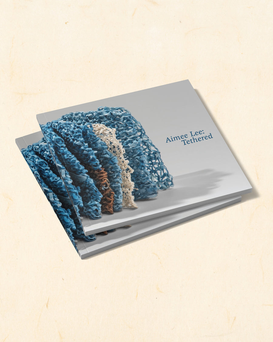 Aimee Lee: Tethered