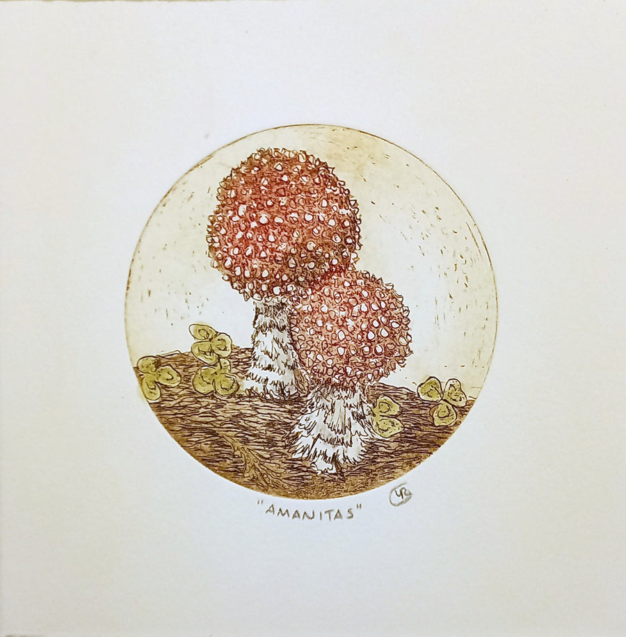 Amanitas Etching by Lynn Rosskamp