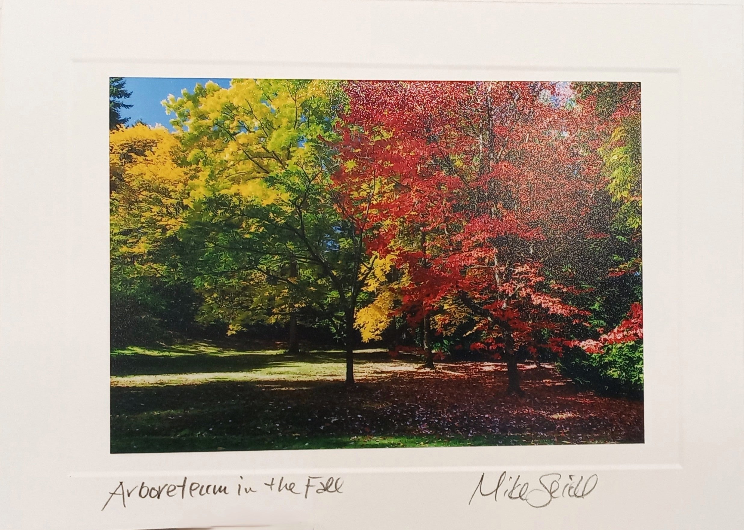 Art Cards by Mike Seidl