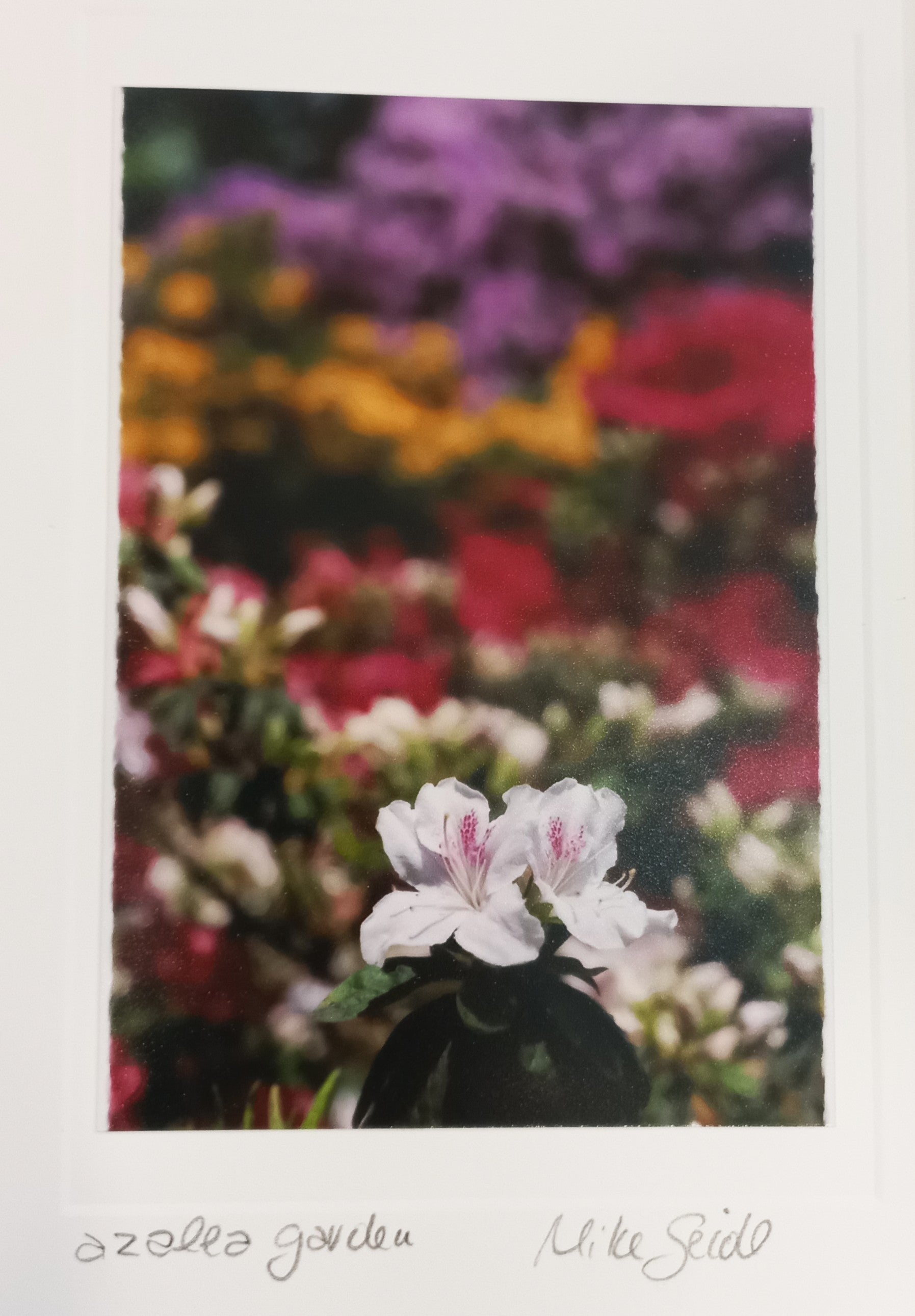Art Cards by Mike Seidl