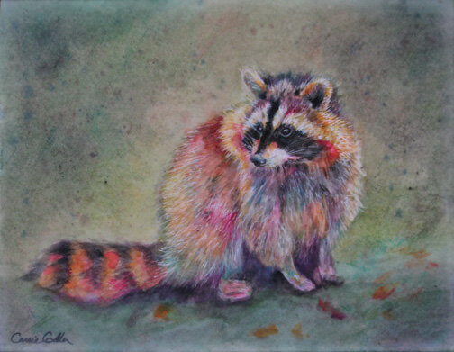 Bandit Print by Carrie Goller