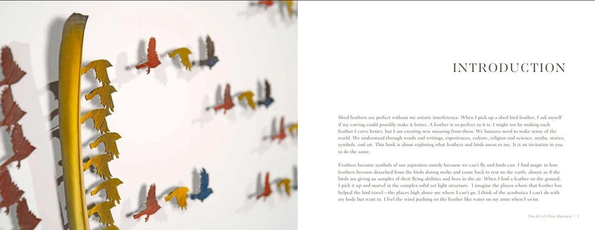 Feathers: Symbology and Meaning by Chris Maynard